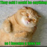 65f518b03d120f82a2a59cf3e6b2f360