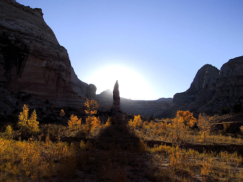 2163805727_784a1ac320