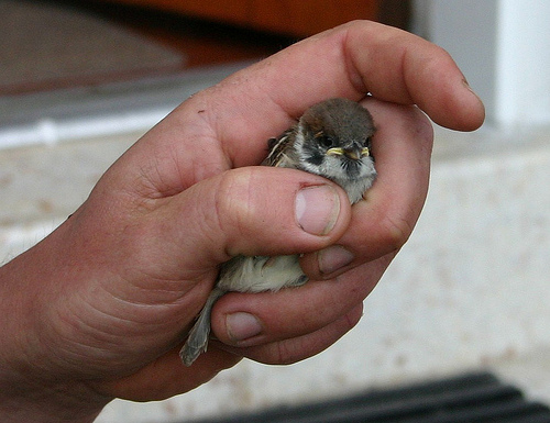 5137081372_6cc8615139